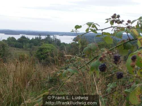 Lough Arrow